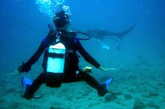 Z - DO NOT USE PADI Dive Courses